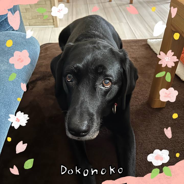 Ea627791 d2f6 442c 8b8c 18b544c7c204 1711241529610