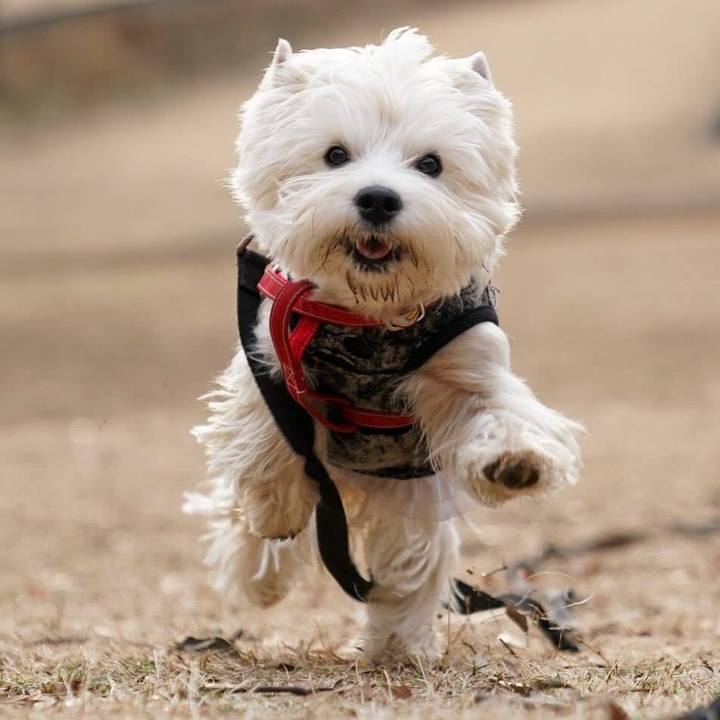 Ea627afb 6f5d 4bfb 9063 d480305738f5 1519859465578