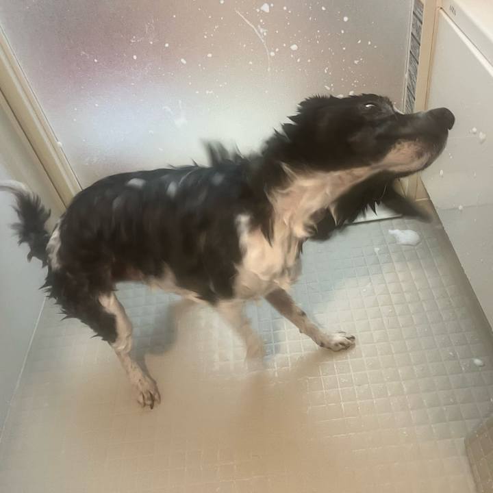 Ea627f13 5099 41e4 8044 610cc1dd0118 1707832001377