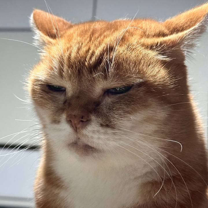 Ea62ec36 c84b 44d0 ab63 eb2c16865aea 1767804444473