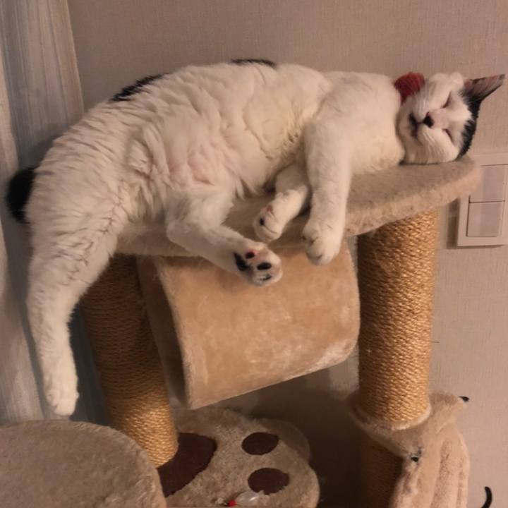 Ea631fe2 e807 463f a06b 75bd379599b2 1558271176275