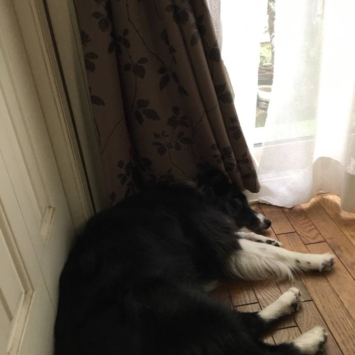 Ea6322b1 87f9 4e25 9405 36d9654782b4 1532231945756