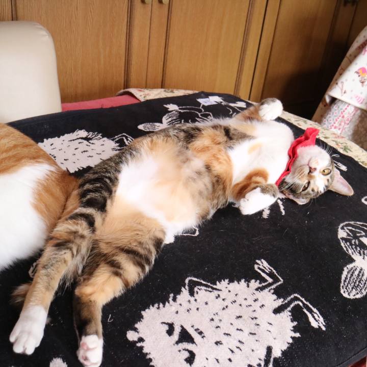 Ea632e57 b488 4196 bc97 b81e0617bcf4 1620530971753