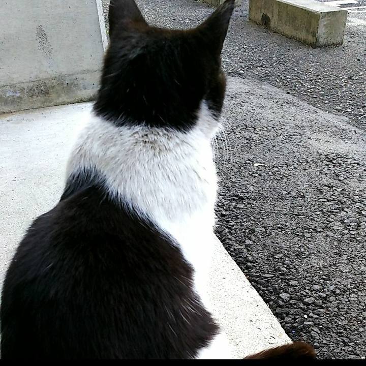 Ea635434 acde 47b5 b2ae f003b4be0c27 1523423322980