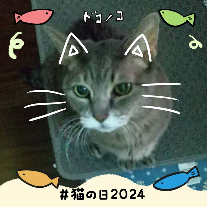 Ea635f86 269d 492f 8345 8e3b25af1378 1708551549418