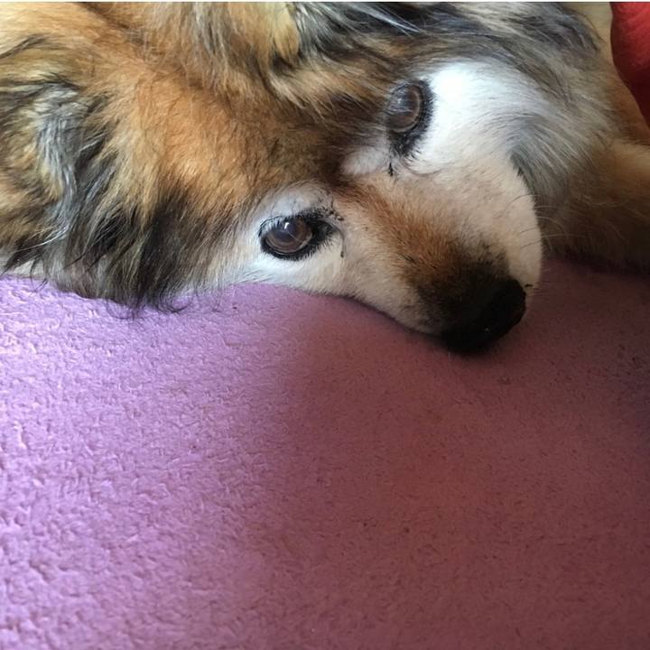 Ea63a2c3 b9af 4c2e a196 e3d542a83697 1567084636481