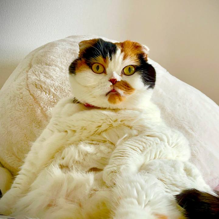 Ea63c357 9f88 4640 8b0d e491eca91d9c 1645928032390