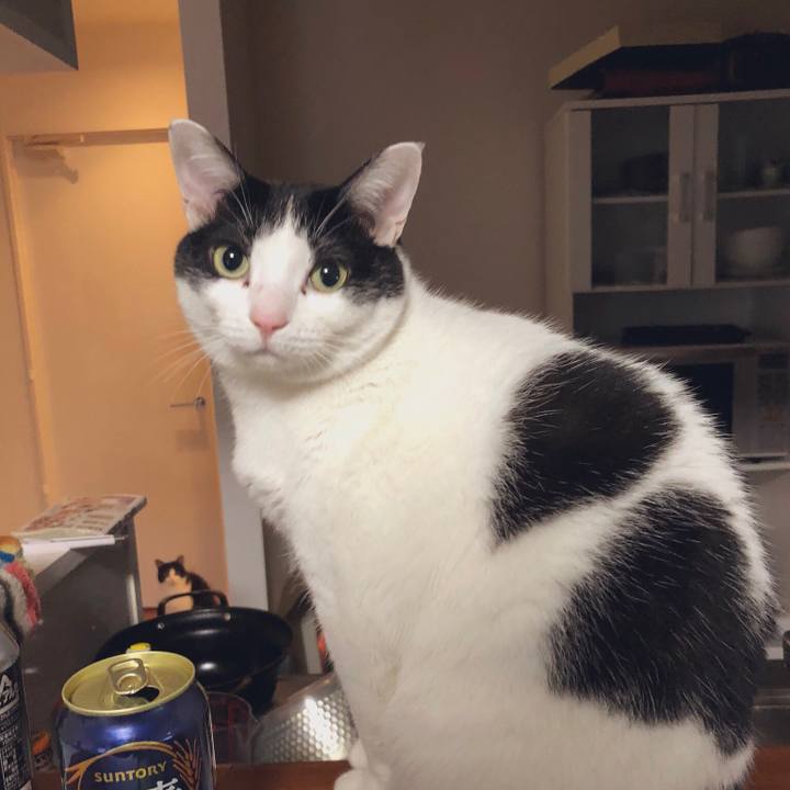 Ea63cf7d 8c1a 488b 9759 dce2040a8d67 1549667571585