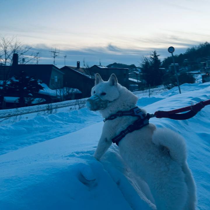 Ea63d589 0a1e 4c92 bc9e 2276a8da4267 1734732621945