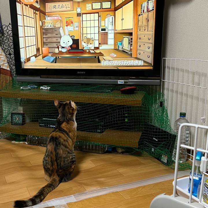 Ea63e69c bbae 49e9 8d5f 5aad50fc166b 1664920573925