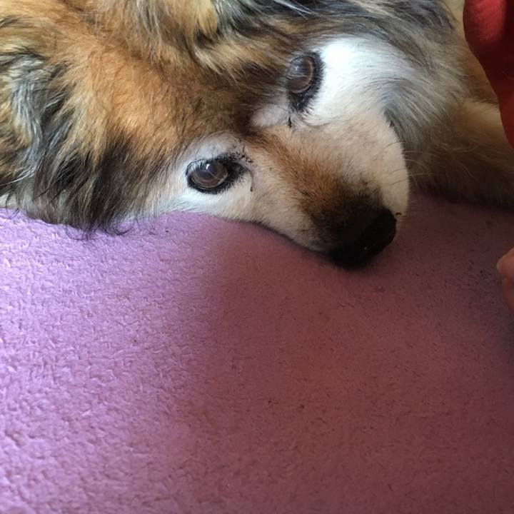 Ea640490 22ca 4702 b0a2 b8ee2048fa62 1641463202506