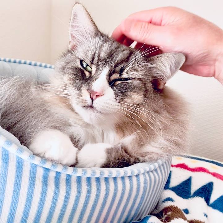 Ea6407ba ae99 447e 8795 e19feed4f44e 1760854570629