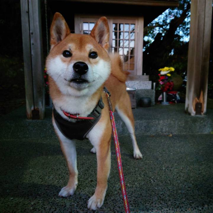 Ea640f01 4a84 440e 8f55 15ea4c57d6de 1763772419272