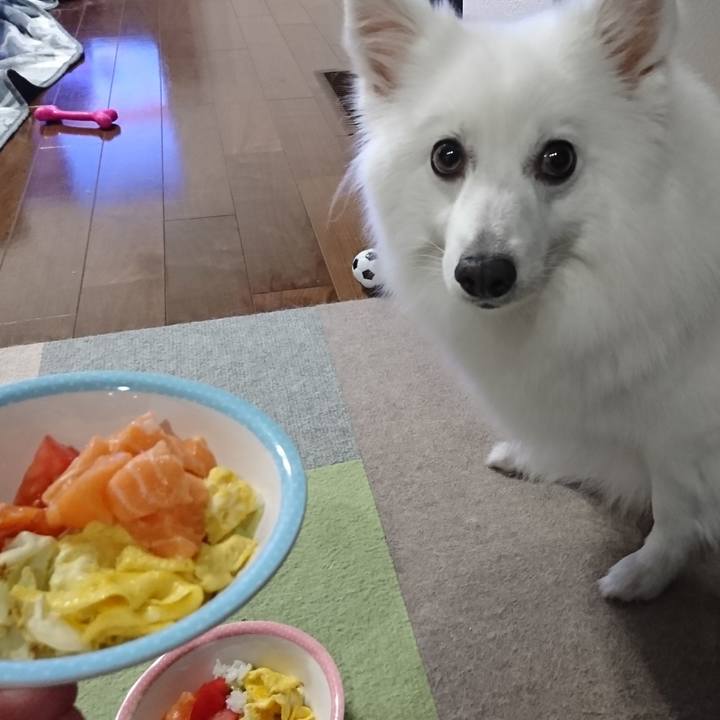 Ea64255d b97e 427e a4d8 642b8f834f2e 1595825108410