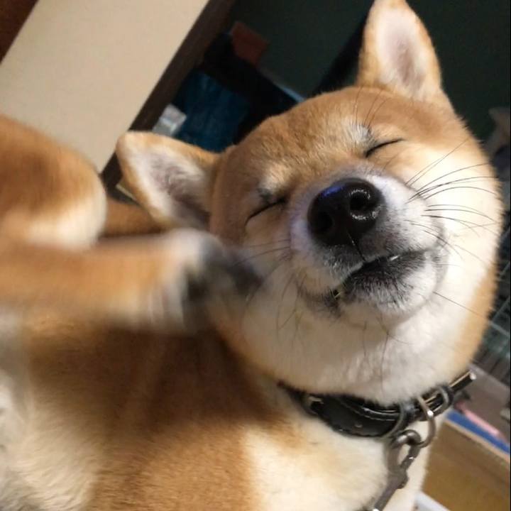 Ea6441f6 0e86 426c 8b53 daee6482d41a 1513510653182