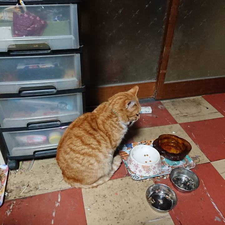 Ea6443fe ea3a 45d9 b0df eefca50367a1 1581969763545