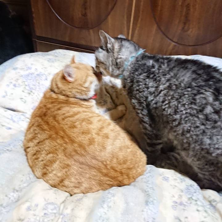 Ea64507e a259 4526 a53c ff8ca807c467 1575806276619