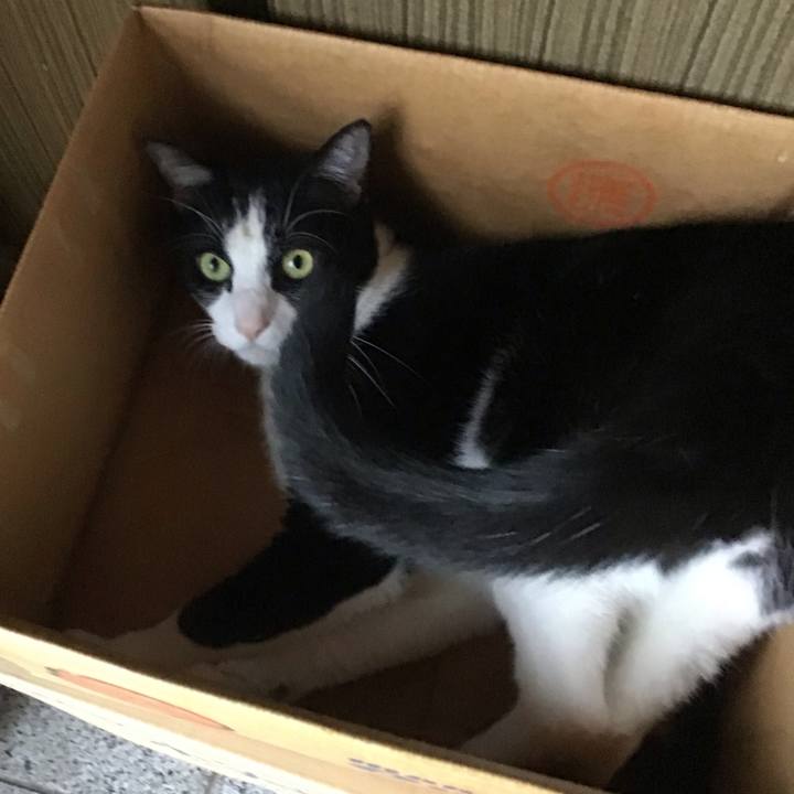 Ea6455e7 1923 4928 a536 795c8c5ed1b2 1760504015289