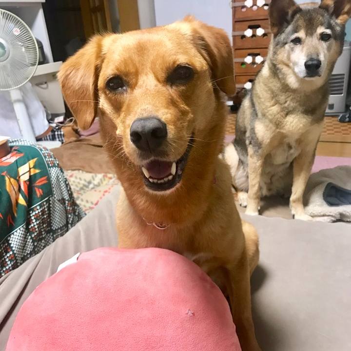 Ea645769 62a2 4140 ae11 d2062a2f0948 1559311693210