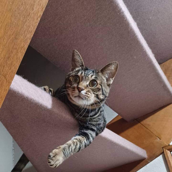 Ea64917e 7251 4326 bd1d 2a035c6b76f4 1692022866959