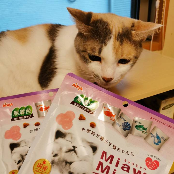 Ea649ebd f49d 4ce4 b0d4 ab9a61032c49 1655350685260