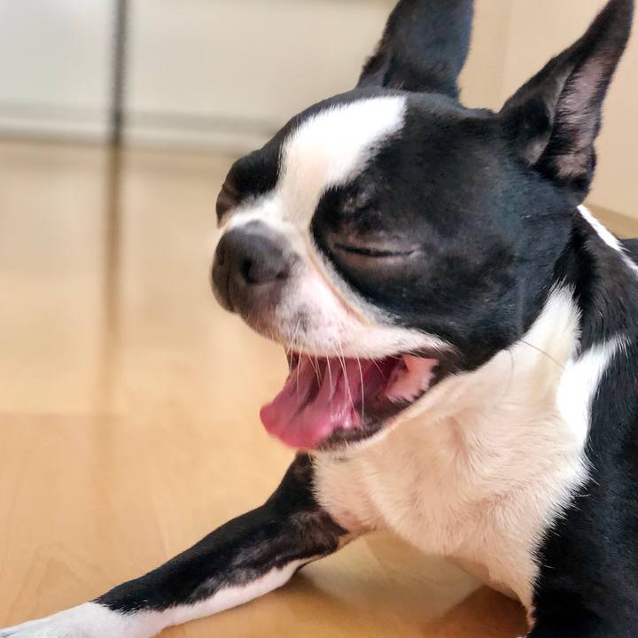 Ea64d128 3ea6 4002 a7ba b746ade46af6 1532042586240