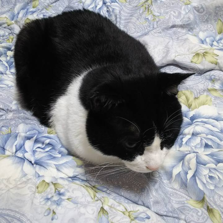 Ea64e18f b9e1 421f 91ca 93e9520e0731 1544392268491