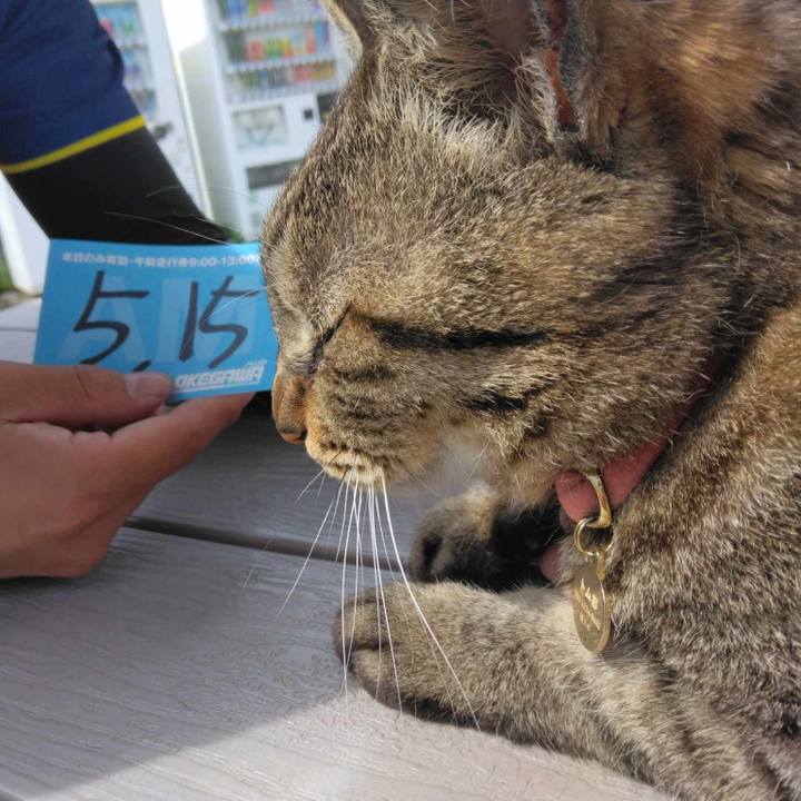 Ea651fd6 0591 4dbe bbc8 98260872b3ee 1715736684084