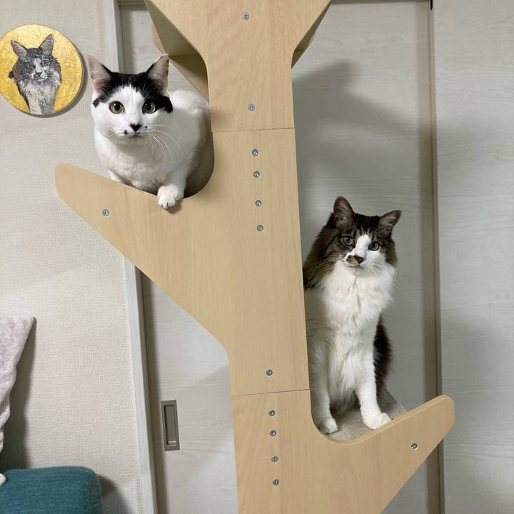 Ea653706 760f 46e2 a074 1438b0256615 1767358968038