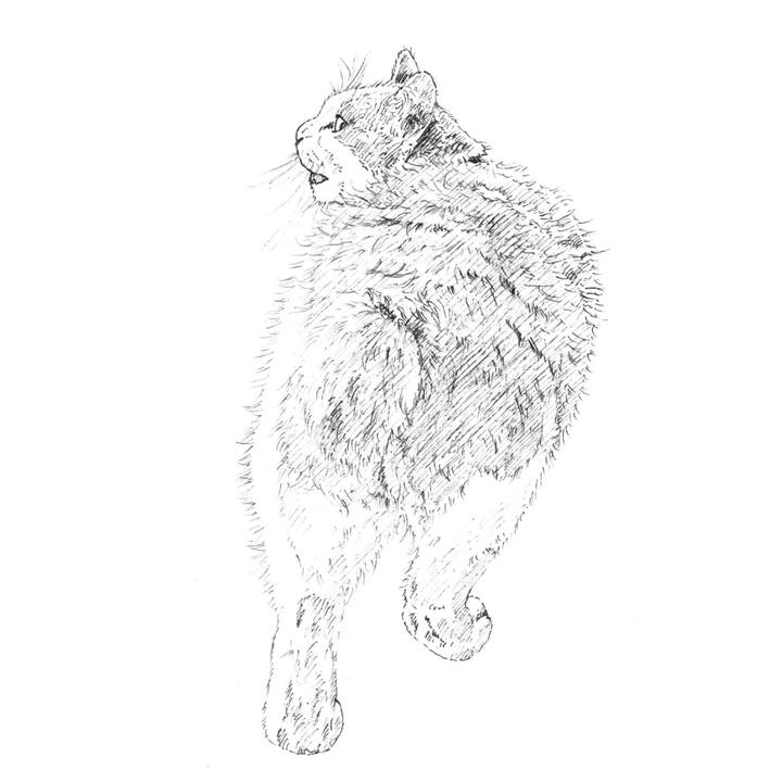 Ea655e2b 3e97 4987 ae68 dd21112df109 1585059647355