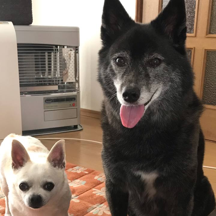 Ea65a0e7 8658 4b9b af6a 1868cdac615b 1567209080459