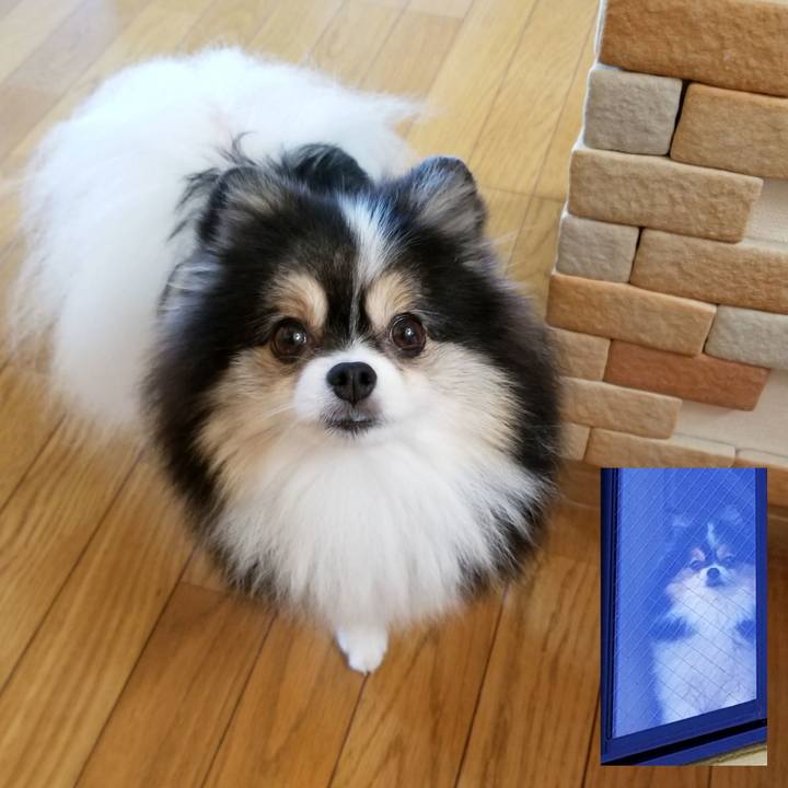 Ea65bc94 8ce4 4474 a09c 41fd5687b69a 1568675302421