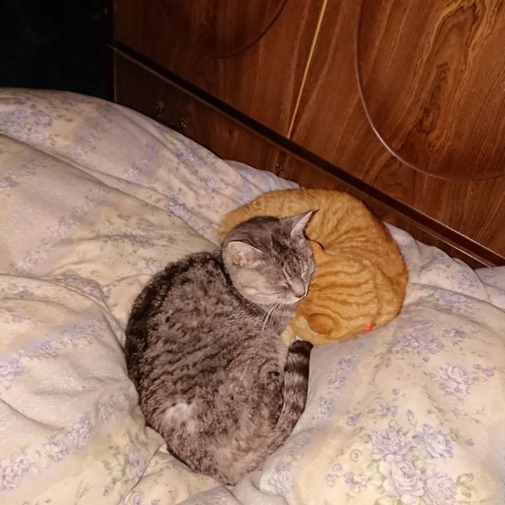 Ea65c06c a80e 4feb 99ba b51cb163b5ce 1579197789310