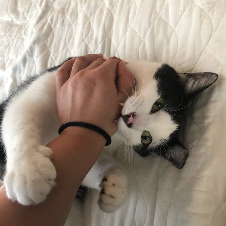 Ea65fdd2 0ae7 46b0 bad5 c351fa785dc4 1559380395056