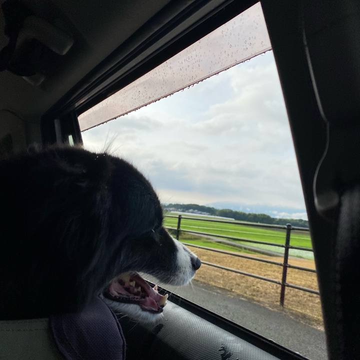 Ea66106e 64bf 4b1c 903f 956bd189aaa7 1657318402831