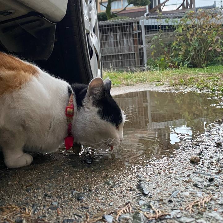 Ea664c6e 6720 407b b4c7 230ca3f37beb 1639830322325