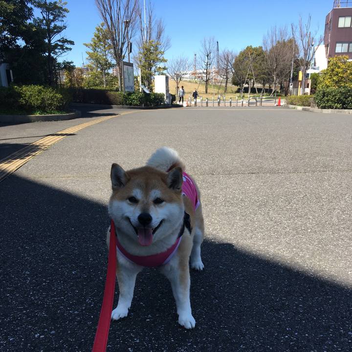 Ea665724 9f6f 468a 937c a19c37e6673e 1583897775648