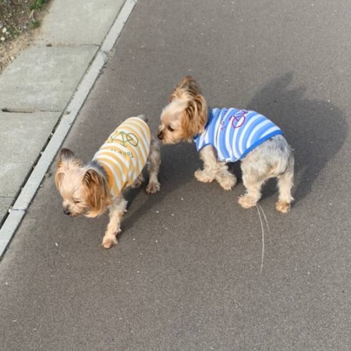 Ea6700d1 6c9c 496b bdaf a9ae6c1b17fc 1632826219637