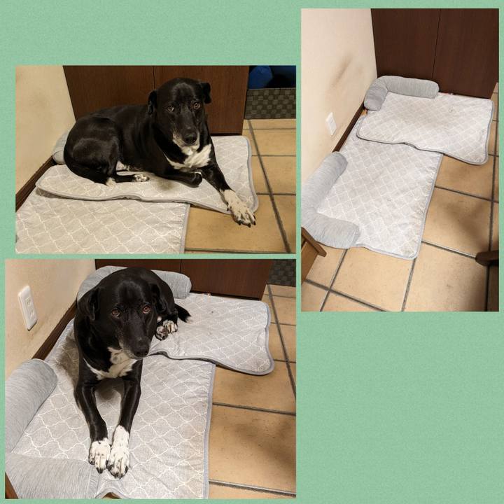 Ea671e66 63bd 4d97 a96b ef3a84457709 1716905289713