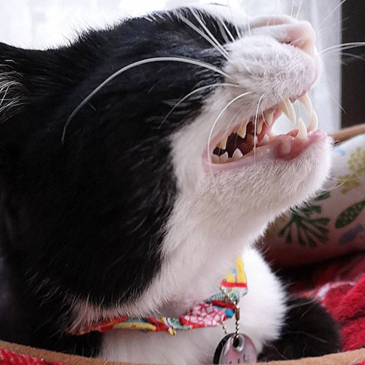 Ea6750c5 4c51 44d9 a35d 470338591afd 1653968541772