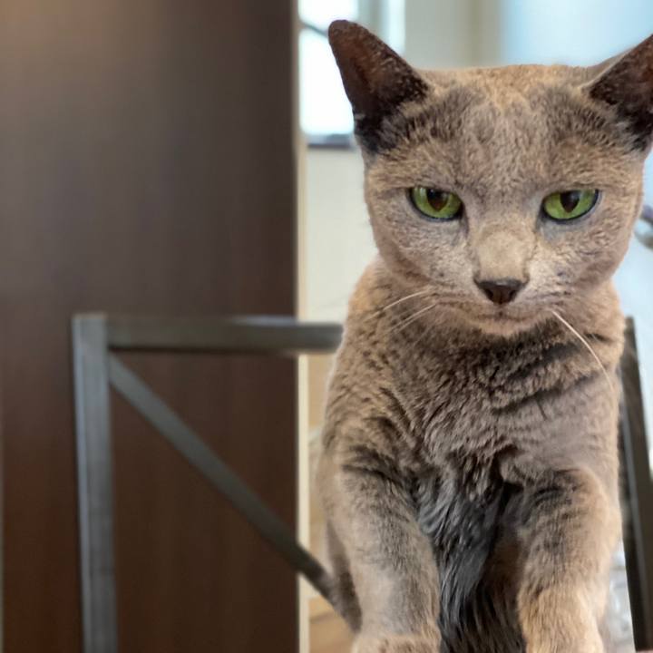 Ea67685d 5848 4a3b b93a 048b4c9ba385 1595228531785