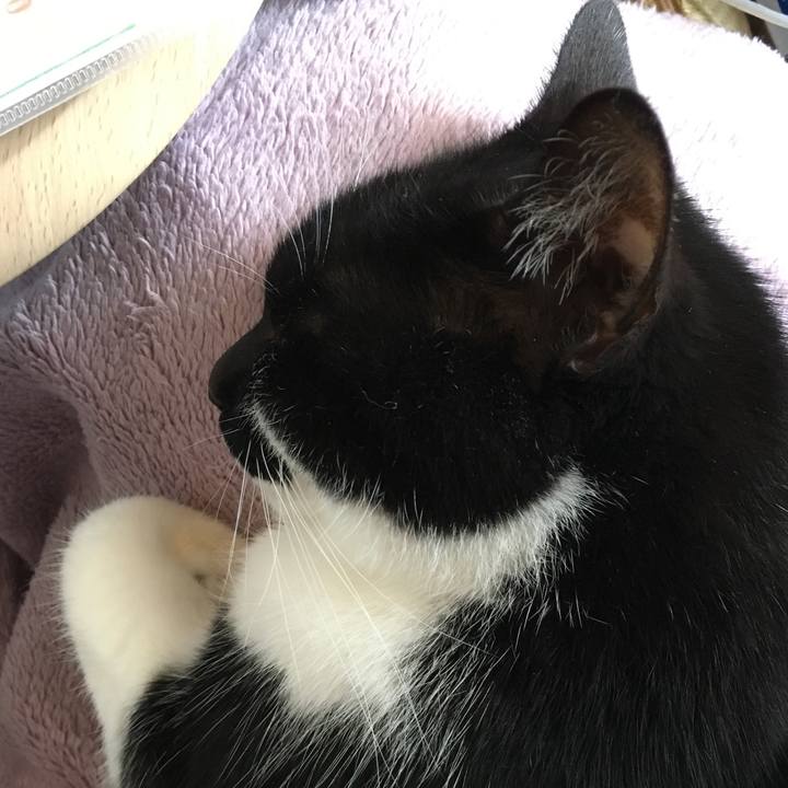 Ea67911f 87d5 46ad a92f 9b0686b6614b 1521192598080