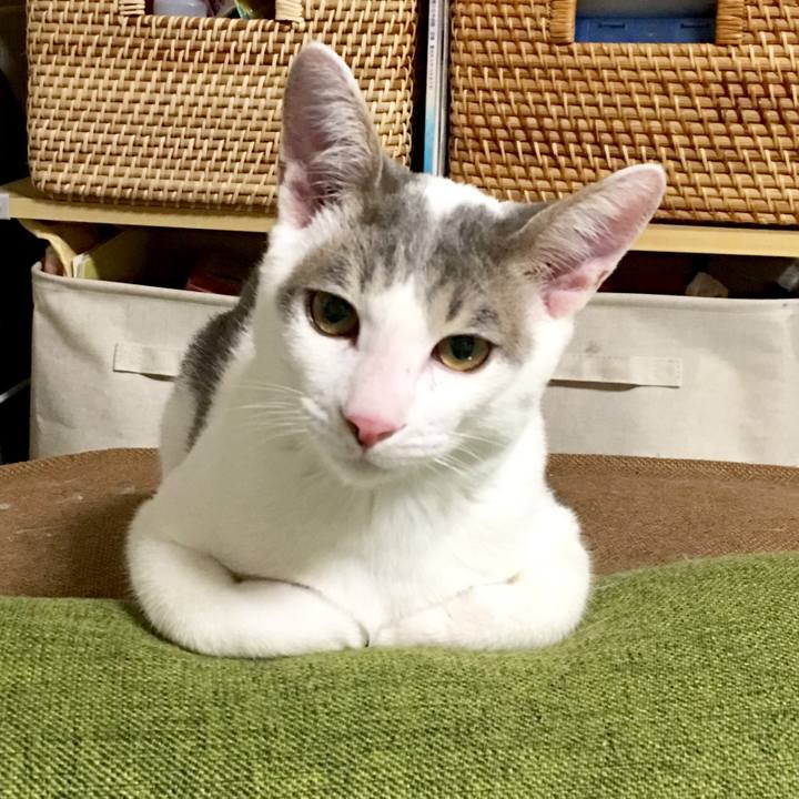 Ea679ff2 a2b9 4073 986a 5862b37dc1e5 1515461518979