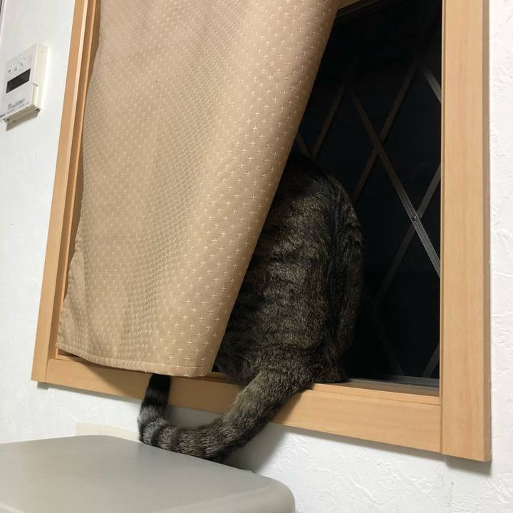 Ea67b178 a6a8 490c a901 a5070859113e 1527695142818