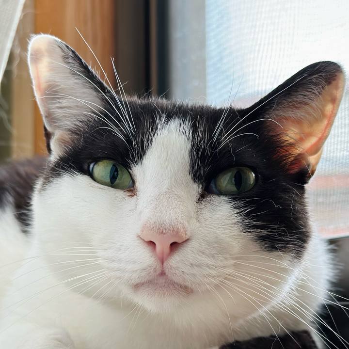 Ea67c16c 867a 4498 9f19 19f2309527e6 1690244757171