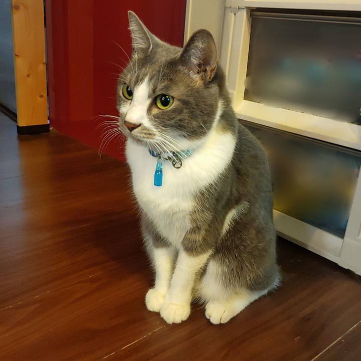 Ea67d3b9 1747 4264 9a8b 84e3f3b1ff21 1667168394272