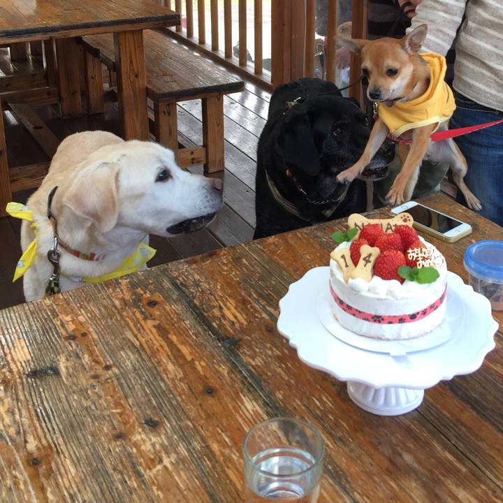 Ea67eada fa9a 4a2f ad27 56d0edfc0050 1543046726953