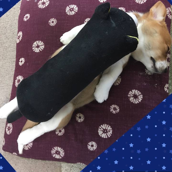 Ea67f690 d1cd 48e9 b90a e325ee4b9cce 1590158379032