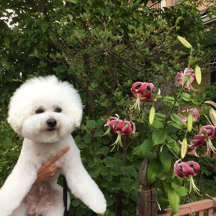 Ea684001 f75b 453e aac5 f5f2c0107e44 1532298556415