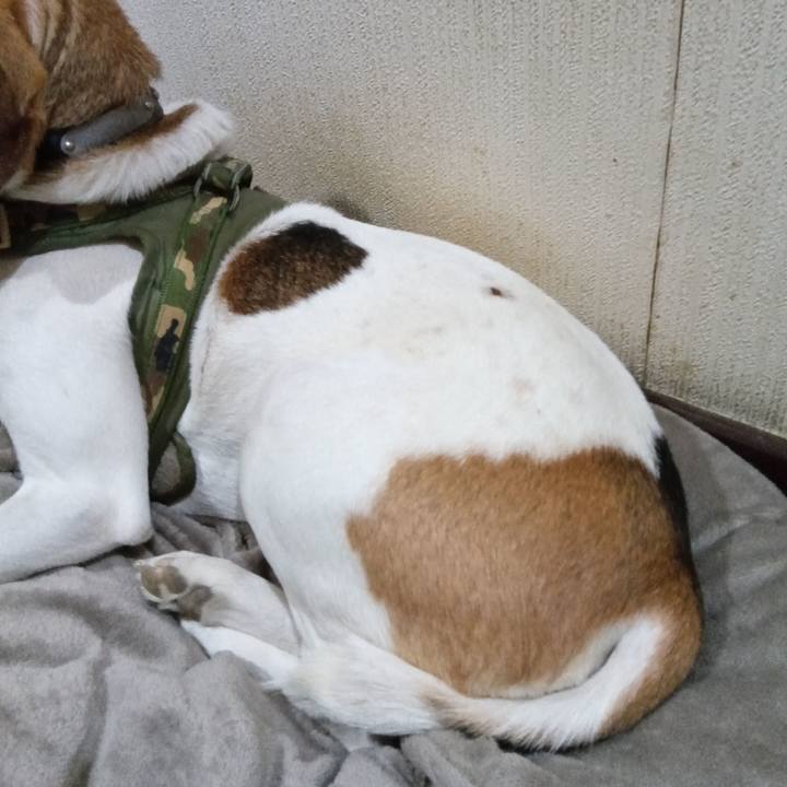 Ea686f7c 43cf 4d66 8e43 ad3a5b828052 1734441409873